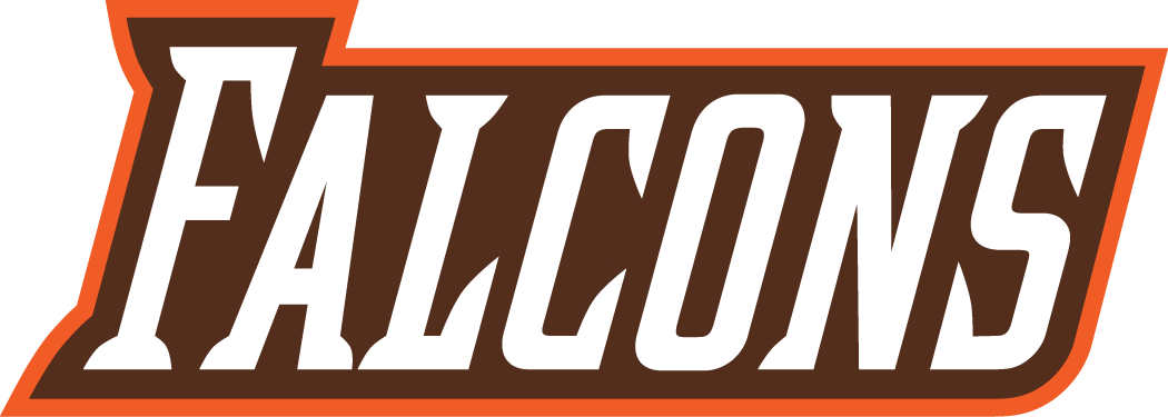 Bowling Green Falcons 2006-Pres Wordmark Logo v2 diy iron on heat transfer